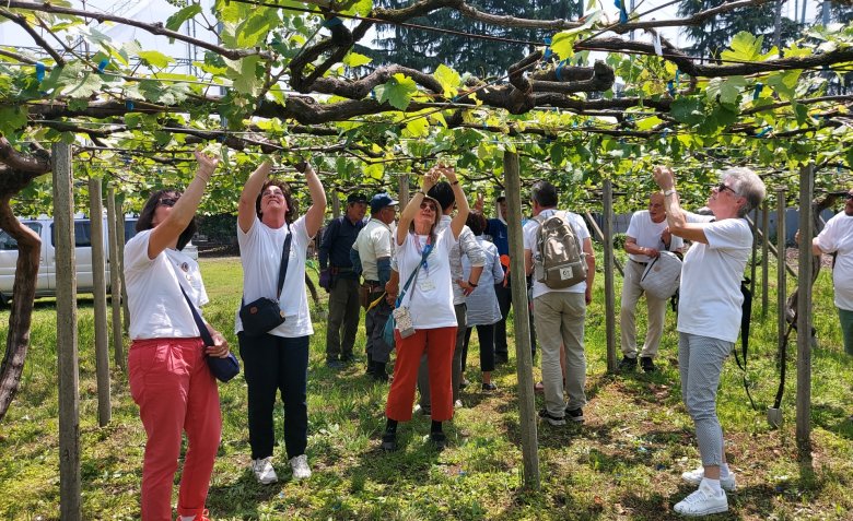 Beim Besuch einer sozialen Einrichtung konnten die Bopparder gemeinsam mit den Arbeitern kleine Arbeiten an den Weinreben, die 1979 nach Ome geschickt wurden, vornehmen. Mittlerweile tragen die Reben Früchte und in Ome wird seit einigen Jahren Wein gekeltert. 