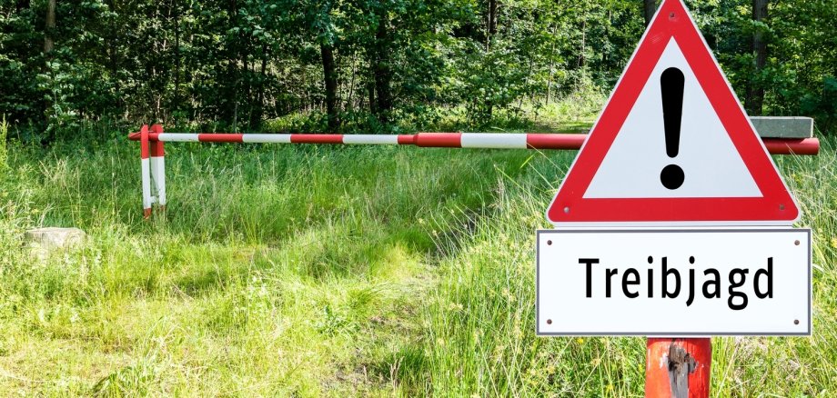 Am Freitag, 12. Dezember 2025,  und Samstag, 13. Dezember 2025 wird im Bereich der Traumschleife Marienberg gejagt. 