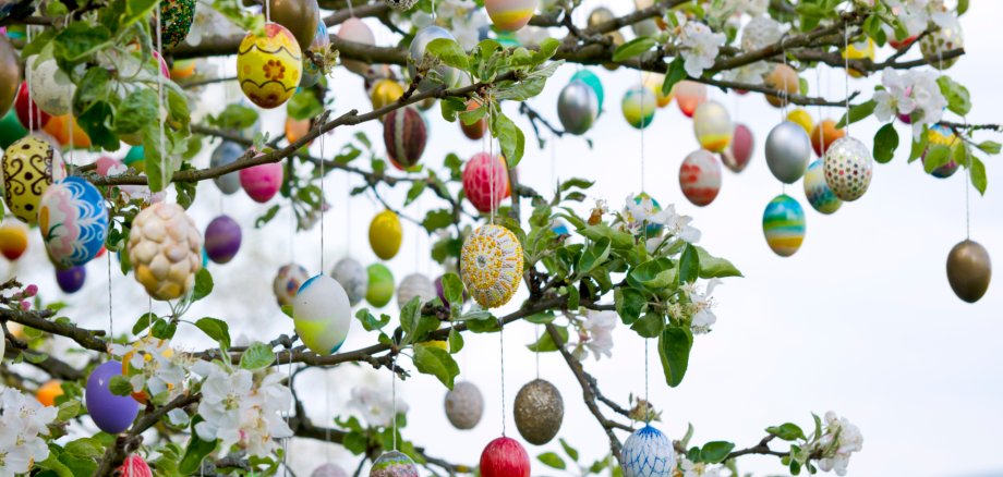 Auch in den diesjährigen Osterferien wird es wieder ein Betreuungsangebot geben. Statt findet es in der Grundschule Bad Salzig. Auch in den diesjährigen Osterferien wird es wieder ein Betreuungsangebot geben. Statt findet es in der Grundschule Bad Salzig.