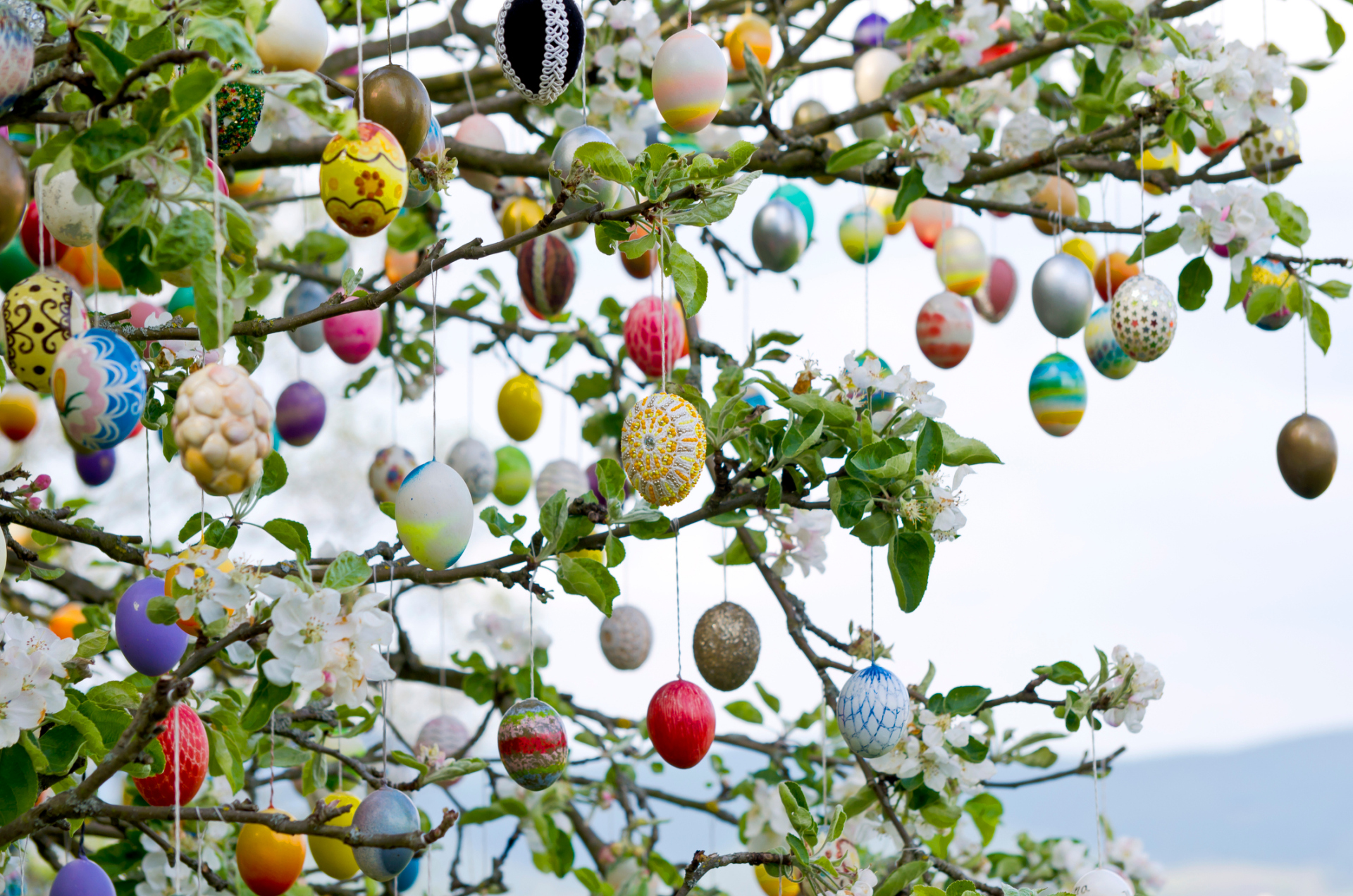 Auch in den diesjährigen Osterferien wird es wieder ein Betreuungsangebot geben. Statt findet es in der Grundschule Bad Salzig.