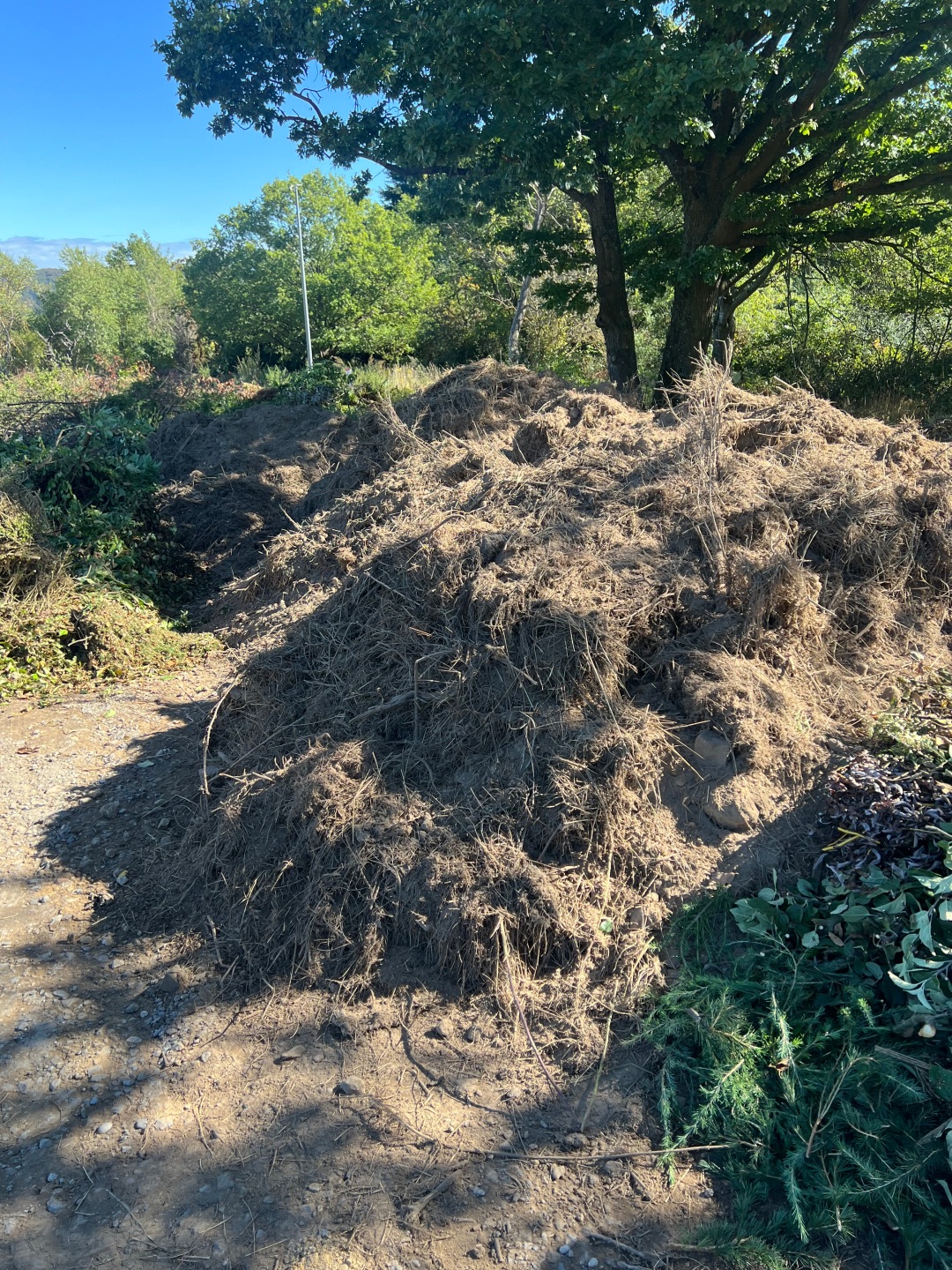 Insgesamt 40 Kubikmeter Boden, Wurzeln und Reste von Pflastersteinen wurden illegal auf dem Strauchschnittplatz in Boppard-Weiler abgelagert. Der Platz muss nun vorübergehend gesperrt werden. 