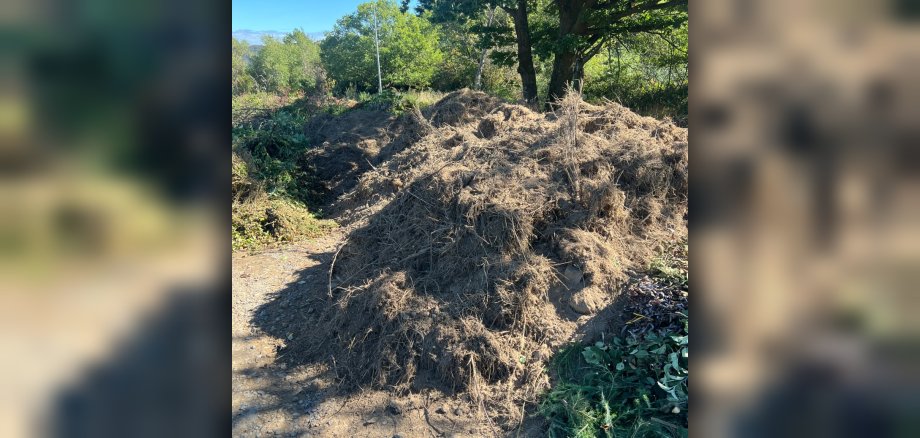 Insgesamt 40 Kubikmeter Boden, Wurzeln und Reste von Pflastersteinen wurden illegal auf dem Strauchschnittplatz in Boppard-Weiler abgelagert. Der Platz muss nun vorübergehend gesperrt werden. Insgesamt 40 Kubikmeter Boden, Wurzeln und Reste von Pflastersteinen wurden illegal auf dem Strauchschnittplatz in Boppard-Weiler abgelagert. Der Platz muss nun vorübergehend gesperrt werden.