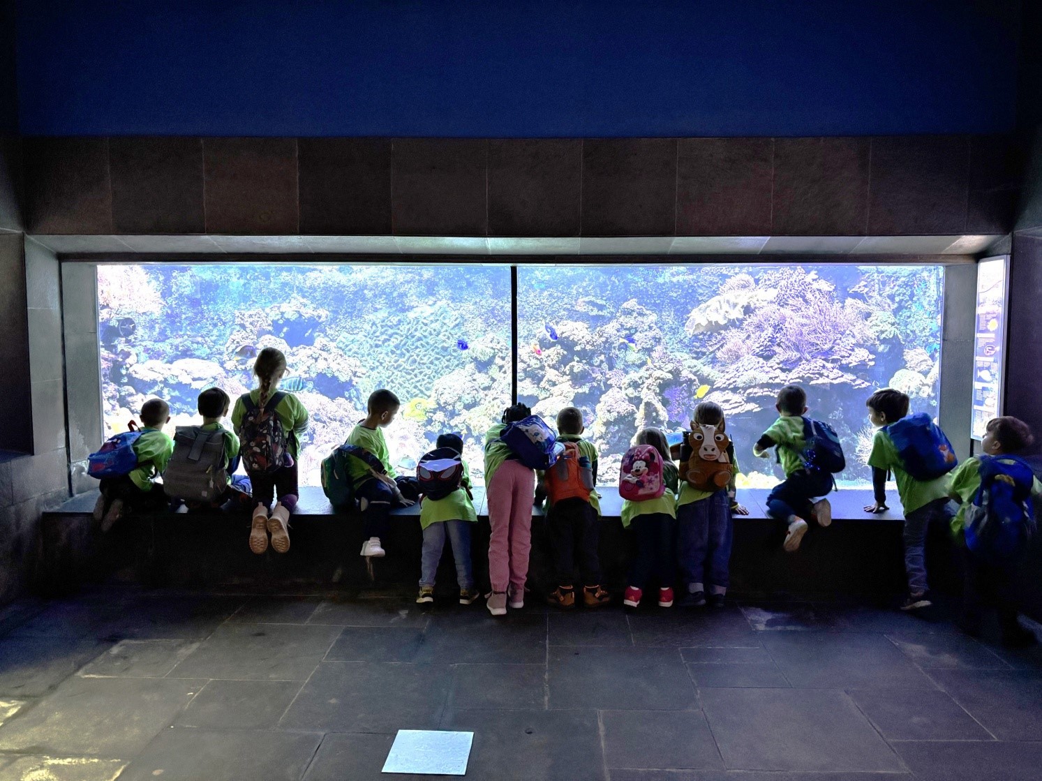 Zum Abschluss ihres Projekts „Meerestiere und Unterwasserwelt“ haben die Vorschulkinder der Kita Weiler das Aquarium des Kölner Zoos besucht. 