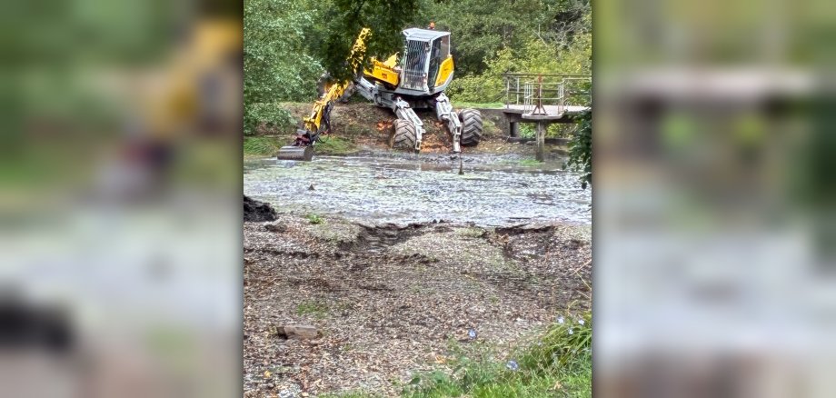Im Marienberger Park in Boppard haben am Mittwoch, 9. September 2026, die Arbeiten zur Entschlammung des Teiches begonnen. Ein Schreitbagger ist dabei im Bereich des Auslaufbauwerks, des sogenannten Mönchs, im Einsatz.