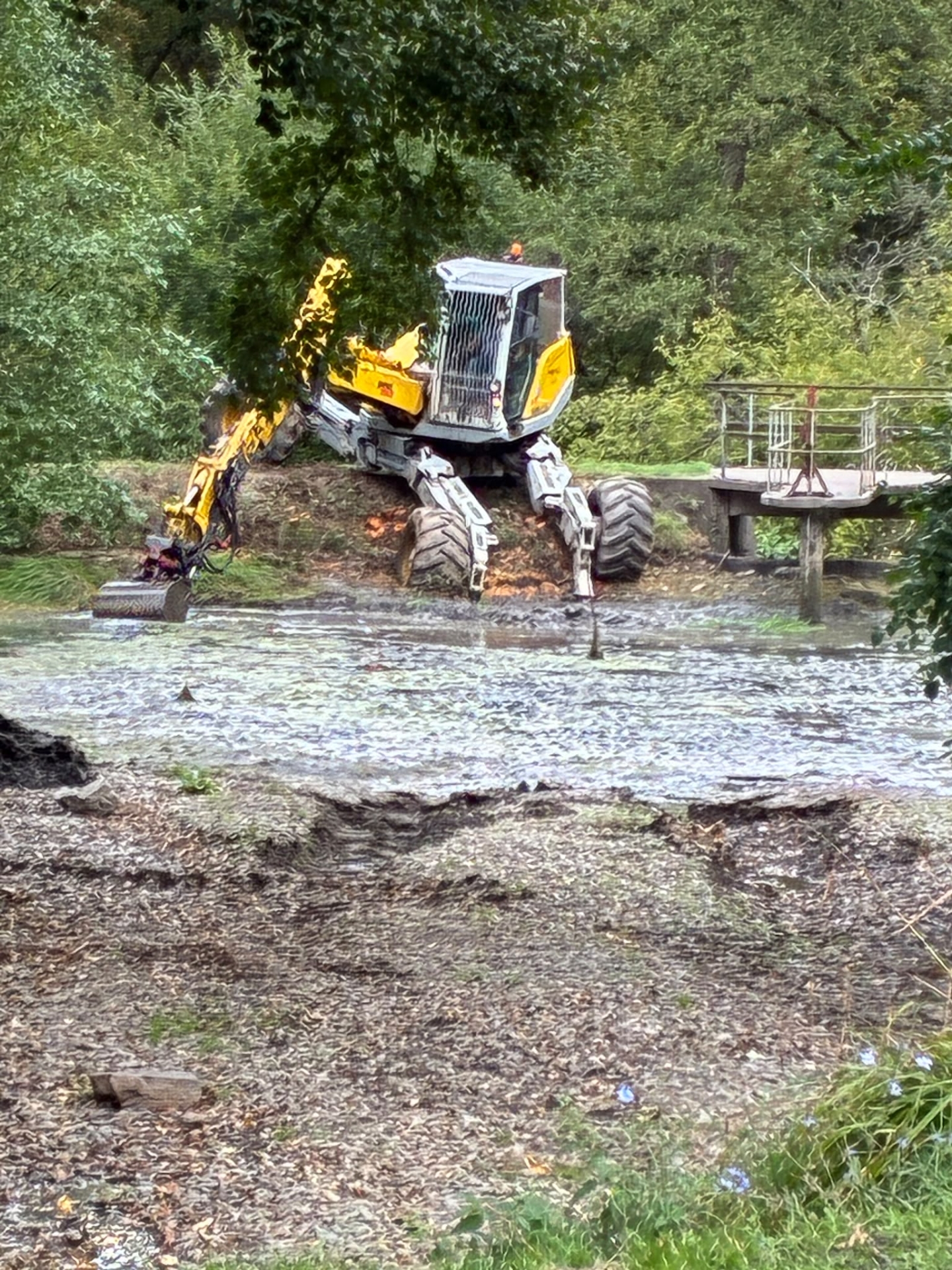 Im Marienberger Park in Boppard haben am Mittwoch, 9. September 2026, die Arbeiten zur Entschlammung des Teiches begonnen. Ein Schreitbagger ist dabei im Bereich des Auslaufbauwerks, des sogenannten Mönchs, im Einsatz.