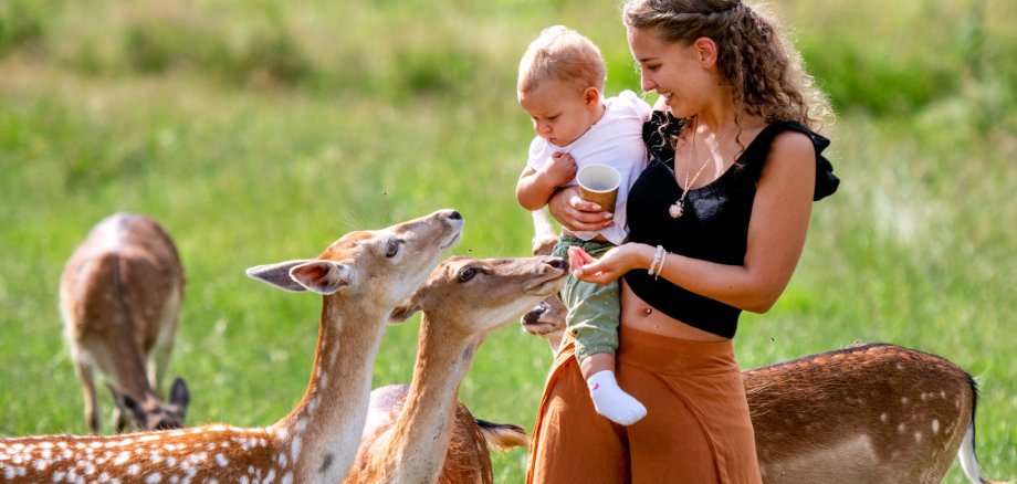 Ein beliebtes Ausflugsziel für Familien: Im Tierpark Rheinböllen gibt es ab sofort mit der Bopparder GästeKarte 10 Prozent Ermäßigung. 