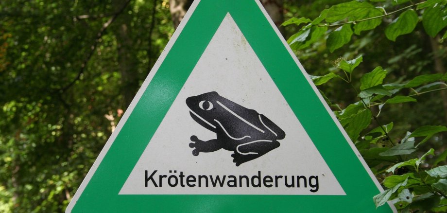 Die Amphibienwanderung hat in diesem Jahr aufgrund der aktuell milden Temperaturen bereits begonnen. Die Stadt Boppard bittet Verkehrsteilnehmerinnen und Verkehrsteilnehmer um umsichtige Fahrweise - vor allem im Bereich des Bopparder Mühltals (L 207) und zwischen Weiler und Bad Salzig (L212).