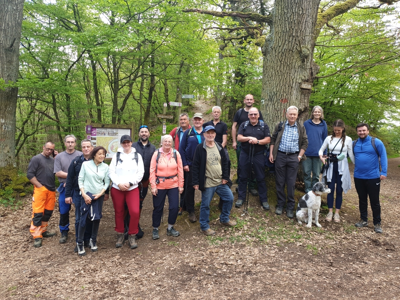 Die Stadt Boppard verfügt über zahlreiche neue Wegepaten, die sich ehrenamtlich mit großem Engagement um die Betreuung der Traumschleifen sowie weiterer Wanderwege kümmern. 