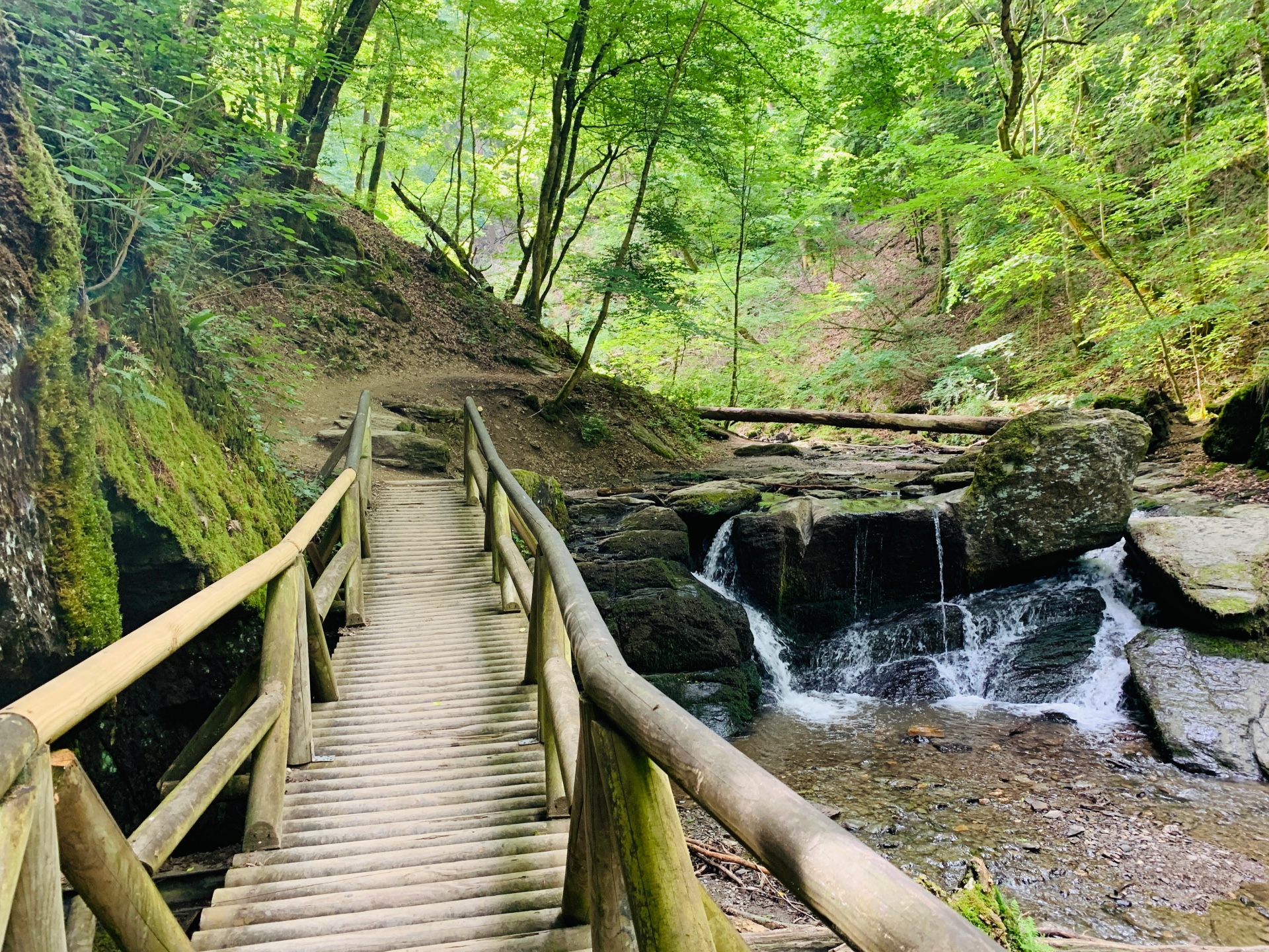 Mit 101 Punkten hat die Traumschleife Ehrbachklamm bei Oppenhausen bei ihrer Nachzertifizierung im Mai 2026 ein Spitzenresultat erzielt. Damit zählt die Wanderstrecke zu den fünf besten Wanderwegen Deutschlands. 
