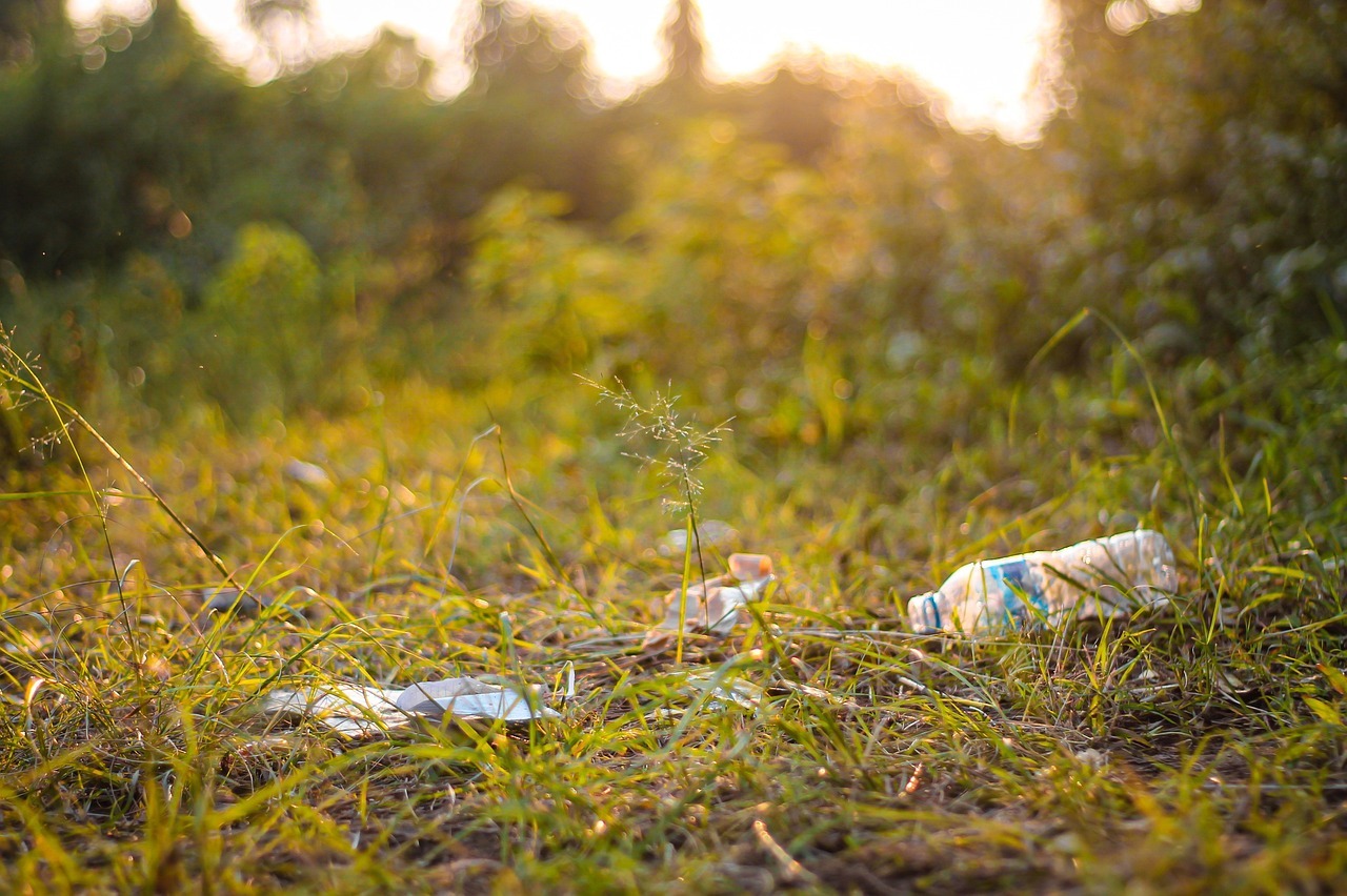 Die Vorschulkinder der Kita Weiler haben bei einer Aktion jede Menge Müll rund um den Eisenbolz eingesammelt, den Menschen, so wie hier auf unserem Symbolbild, einfach achtlos in der Natur entsorgt hatten.