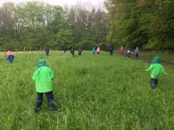 Kinder auf einer Wiese 