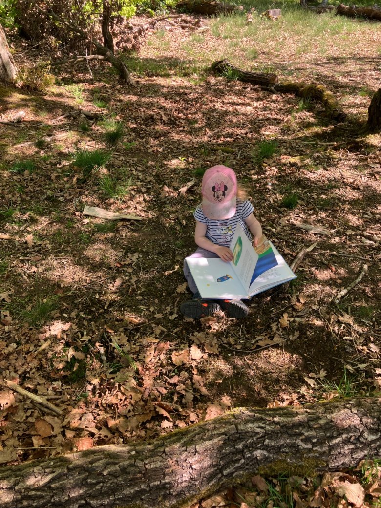 Kind liest ein Buch im Wald