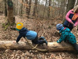 Kinder auf einem Holzstamm
