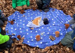 Kinder an einer Picknickdecke