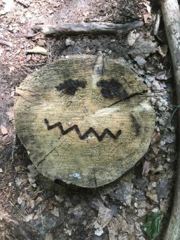 Unwohles Holzgesicht