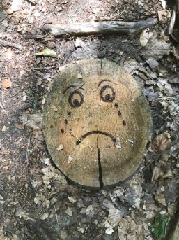 Trauriges Holzgesicht