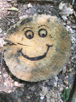 Fröhliches Holzgesicht