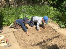 Kinder bei der Gartenarbeit