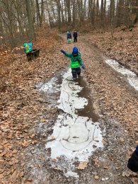 Waldweg mit Pfütze