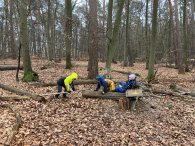 Kinder beim spielen im Wald