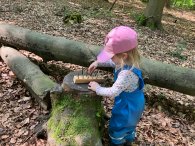 Kind beim spielen im Wald