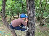 Kind beim spielen an einem Baum