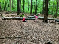 Kinder beim spielen im Wald
