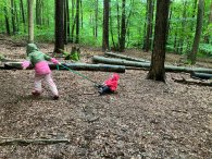 Kinder beim spielen im Wald