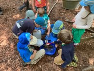 Kinder beim spielen im Wald