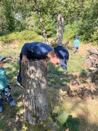 Kinder beim spielen mit einem Baumstumpf