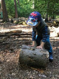 Kind mit einem Holzstamm