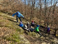 Kinder beim spielen im Wald