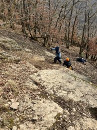 Kinder beim spielen im Wald