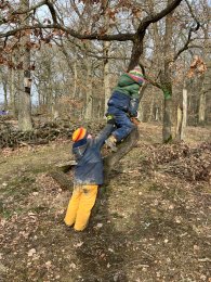 Kinder beim spielen an einem Baum