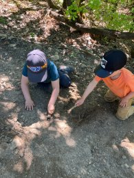 Kinder beim spielen im Wald