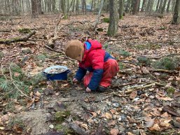 Kind beim spielen mit Steinen im Wald