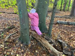 Kind beim spielen im Wald