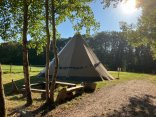 Tipi