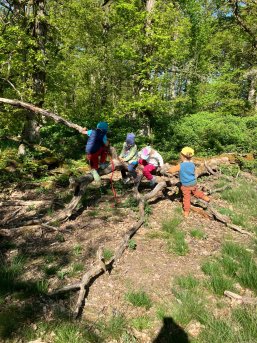 Kinder auf einem toten Holzstamm
