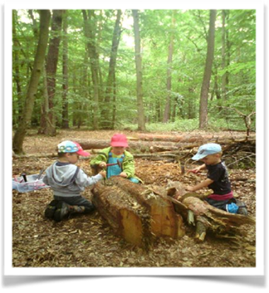 Kinder im Wald