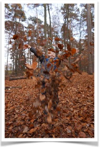 Herbstbaum