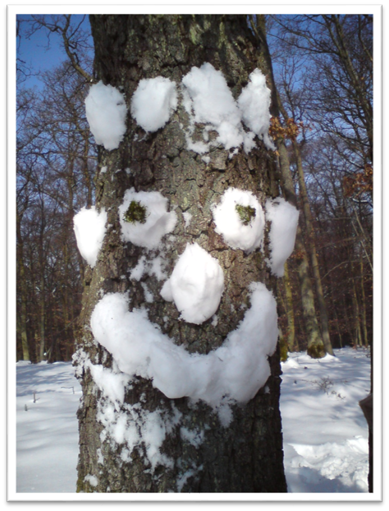 Baum mit einem Gesicht aus Schnee drauf