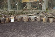 Baumstumpfsitze