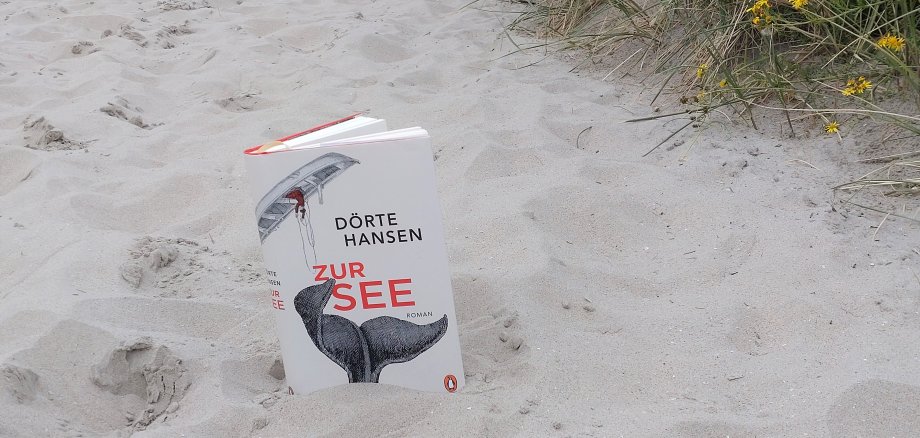 Foto: Ein Buch steht im Sand auf einem Dünenübergang zum Meer. Auf dem Buchcover steht: Zur See