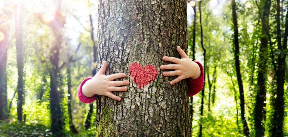 Tree Hugging - Love Nature - Child Hug The Trunk With Red Heart Shape Kind umarmt Baum