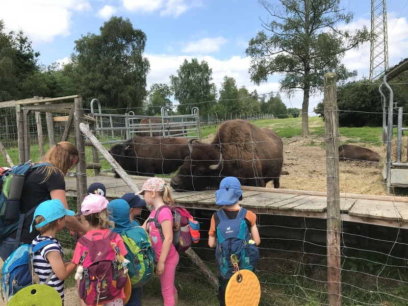 Ausflug in den Tierpark Rheinböllen