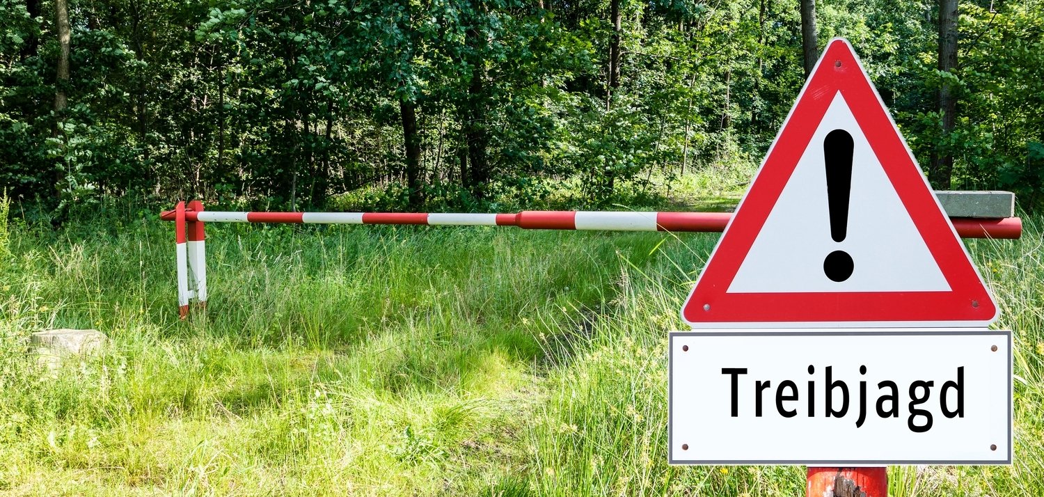 Während Treib- und Drückjagden ist besondere Vorsicht geboten. Aufgestellte Warnhinweise sind zu beachten.