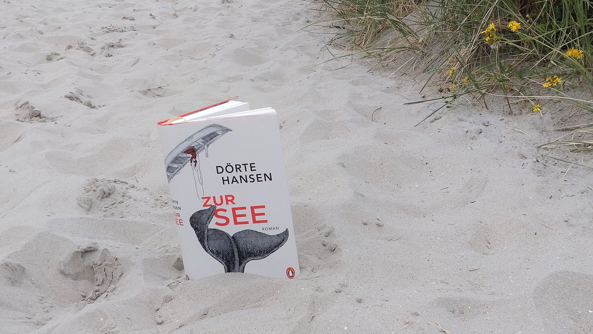 Ob locker-leichte Strandlektüre oder  anspruchsvoller Lesestoff: Für die Sommerferienzeit hält die Stadtbücherei Boppard ein aktuelles und vielfältiges Medienangebot bereit. 