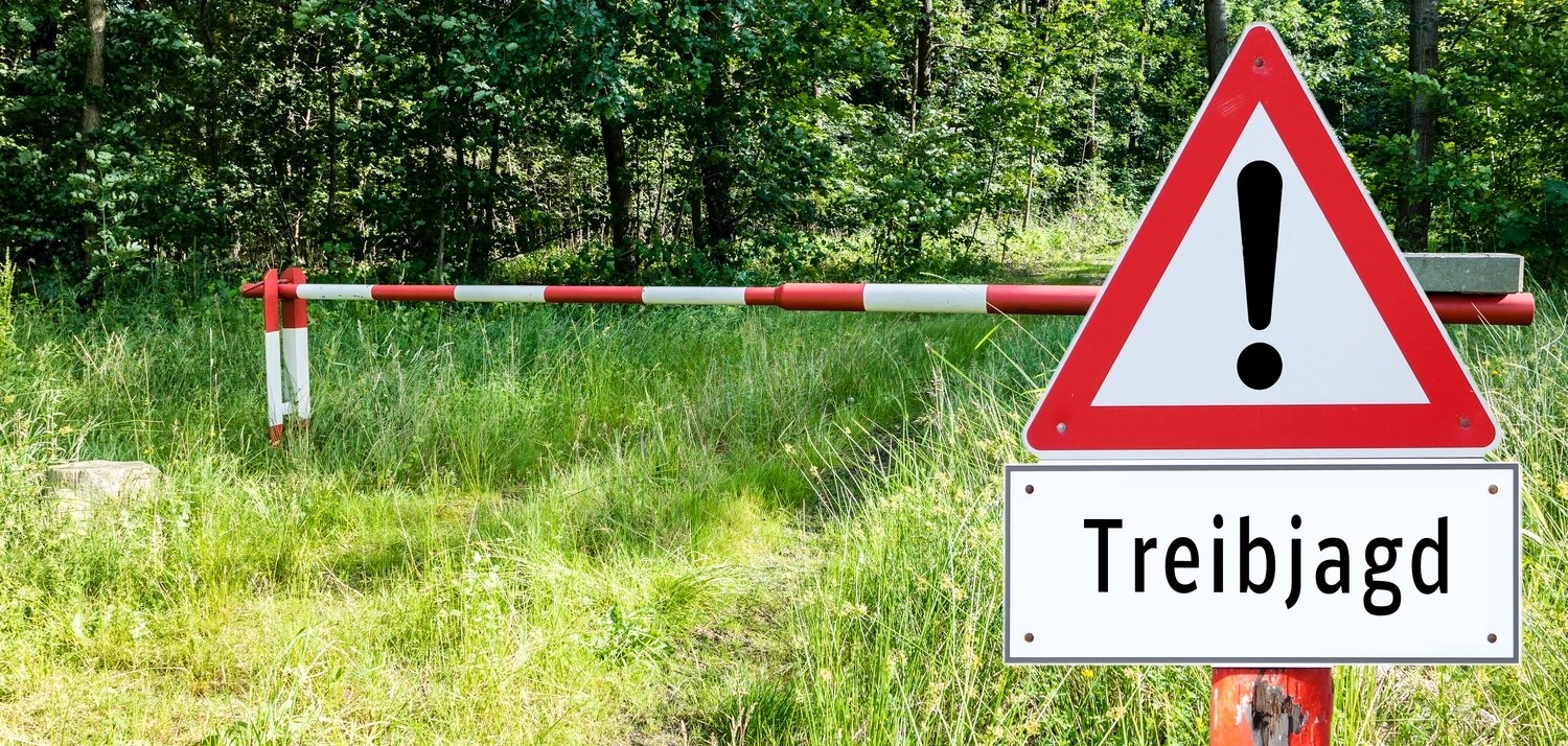 Am Samstag, 7. Dezember 2024, wird im Bereich Udenhausen in der Zeit von 9 bis 15 Uhr gejagt. 