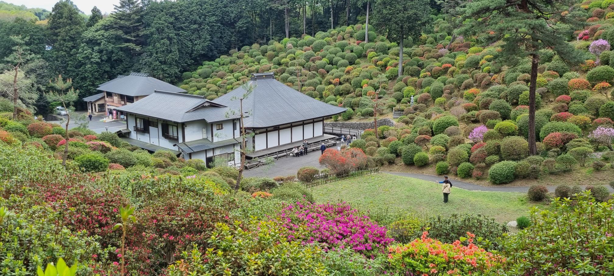 In den Pfingstferien 2024 wird eine Jugenddelegation aus Boppard die Partnerstadt Ome in Japan besuchen. Bopparderinnen und Bopparder im Alter von 14 bis 21 Jahren können sich ab sofort für die Teilnahme am Jugendaustausch bewerben. Unser Foto zeigt den Shiofune-Kannon Tempel in Ome. 